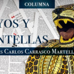 El bienestar también es para los ricos