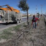 Realizan limpieza del camellón central de la Carretera Panamericana