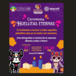 Invita DABA a la ceremonia Huellitas Eternas