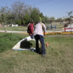 Realiza Parques y Jardines limpieza general en el parque lineal de Jardines del Valle