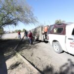 Realiza Parques y Jardines limpieza en camellón y laterales de la calle Ing. David Herrera
