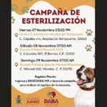 Realizará DABA campaña gratuita de esterilización de mascotas el próximo fin de semana