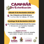 Invita DABA a registrarse para esterilizar mascotas el próximo fin de semana