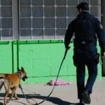 Descarta K-9 presencia de bomba en plantel educativo
