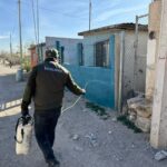 Fumiga Ecología contra la garrapata en diversas colonias de la ciudad