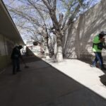 Intervienen colonias con limpieza, retiro de llantas y rehabilitación de luminarias