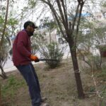 Realizan trabajos de mantenimiento en parque lineal de la avenida Ramón Rivera Lara