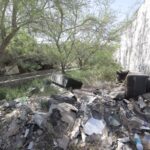 Limpiarán arroyos para evitar obstrucciones con las lluvias