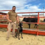 Se suman binomios caninos al blindaje contra el Gusano Barrenador en Chihuahua