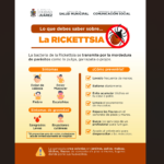 Llama Salud Municipal a informarse y prevenir la rickettsia