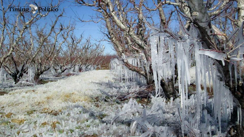 Alerta por frio intenso