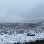 Deja Décima Tormenta Invernal nevadas en 18 municipios de Chihuahua