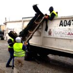 Mantiene Limpia programa permanente de destilichadero en las colonias