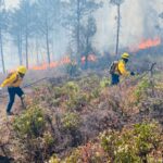 Continúan acciones contra incendios forestales en la zona serrana.