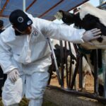 Informa SDR características que pueden advertir la presencia del Gusano Barrenador