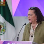 Aportará INE toda la argumentación técnica necesaria para demostrar la importancia de su estructura operativa: Guadalupe Taddei 