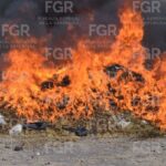 Incinera FGR más de media tonelada de narcóticos en Chihuahua