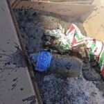 Exhorta Limpia a la correcta disposición de residuos peligrosos