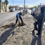 Realizan preparación de camellón para reforestación en avenida Montes Urales