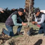 Realizan jornada de forestación en el camellón de la avenida Rafael Pérez Serna