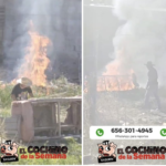 Pide apoyo Municipio para localizar al «Cochino de la semana»