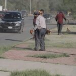 Atiende Parques y Jardines áreas verdes de avenidas principales