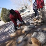 Realiza Parques y Jardines trabajos de mantenimiento en Parajes del Sur