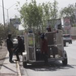 Continúan trabajos de reforestación en avenida Ejército Nacional