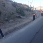 Cuadrillas de limpia trabajan en diversas vialidades; piden precaución a conductores