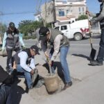 Plantan 130 árboles en el camellón central de Municipio Libre