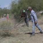 Realizan labores de mantenimiento en parque lineal de Quintas del Valle