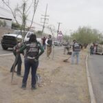 Realizan jornada de reforestación en avenida Hermanos Escobar