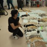 Lleva DABA campaña de esterilización gratuita a Riberas del Bravo