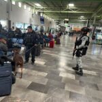 La SSPM mantiene operativo preventivo en central camionera con apoyo de la unidad K9 y Guardia Nacional