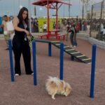 Invita DABA a disfrutar del área especial para mascotas en el Parque Urbano Suroriente