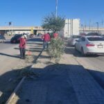 Dan mantenimiento a camellón central de la carretera Juárez–Porvenir