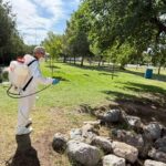 Fumigan personal de Ecología y Canaco el parque Los Güeros