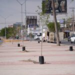 Reforestan Paseo de la Victoria y Antonio J. Bermúdez con 98 árboles