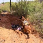 Encuentran dos osamentas en rastreo realizado por la Unidad de Ausentes en Cd. Juárez