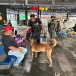 Refuerza SSPM seguridad a través de Unidad K9 en la terminal de autobuses mediante operativo coordinado