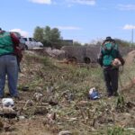 Refuerzan limpieza de arroyo en Zaragoza para prevenir riesgos durante lluvias