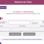 Implementa INE medidas de fortalecimiento en su Sistema de Citas 