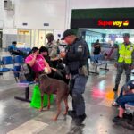 Operativo conjunto de revisión permanente en central camionera refuerza la seguridad