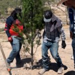 Prepara Parque Central proyecto de reforestación en estacionamiento de zona poniente