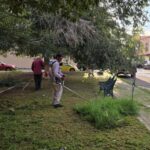 Realiza Municipio labores de mantenimiento en el parque Bellavista