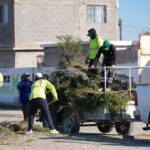 Recupera Partido Verde 25 espacios públicos en Juárez