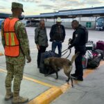 Realizan en conjunto DEFENSA y Policía Municipal operativo con ejemplares K9 de la SSPM