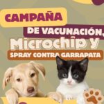 Llevará DABA sus servicios este sábado al Kilómetro 31 y a la Secundaria Técnica 44 el domingo